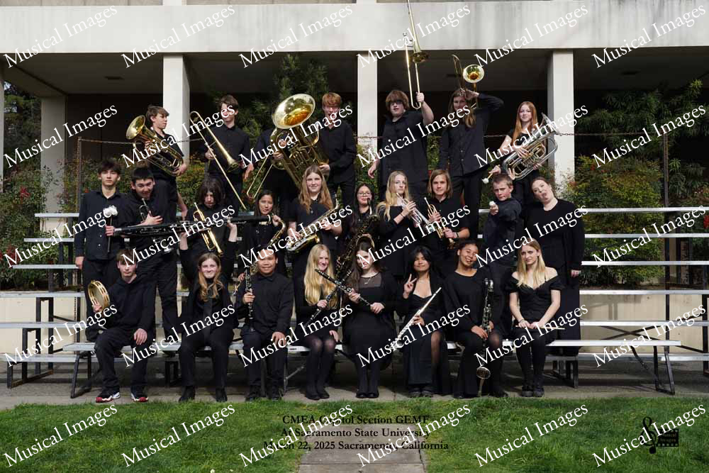 Musical Images